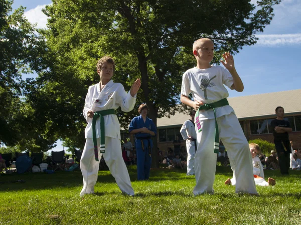 stock image Tae Kwon Do