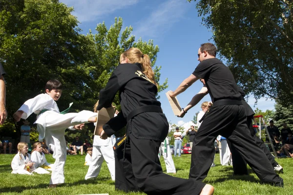 stock image Tae Kwon Do