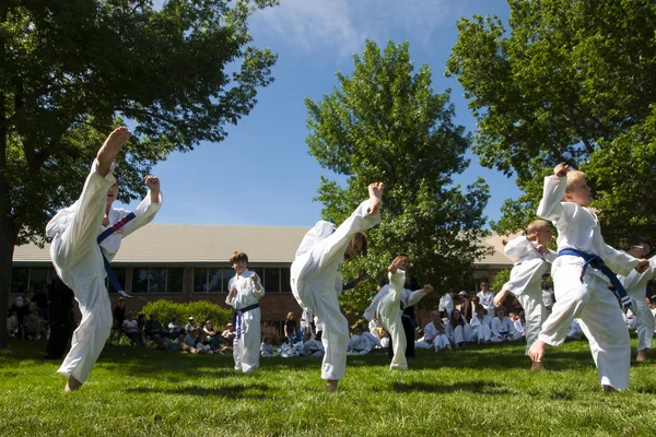 stock image Tae Kwon Do