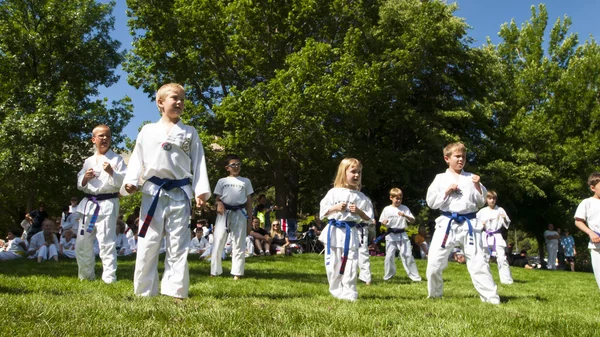 stock image Tae Kwon Do