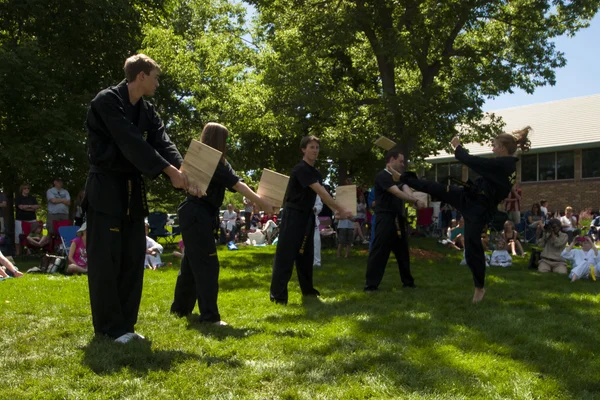 stock image Tae Kwon Do