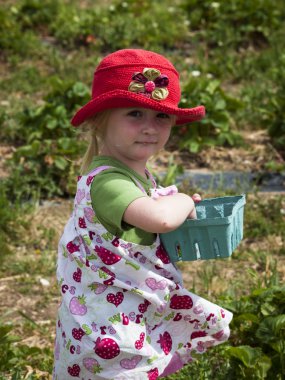 Berry Farm