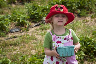 Berry Farm