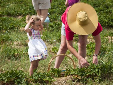 Berry Farm