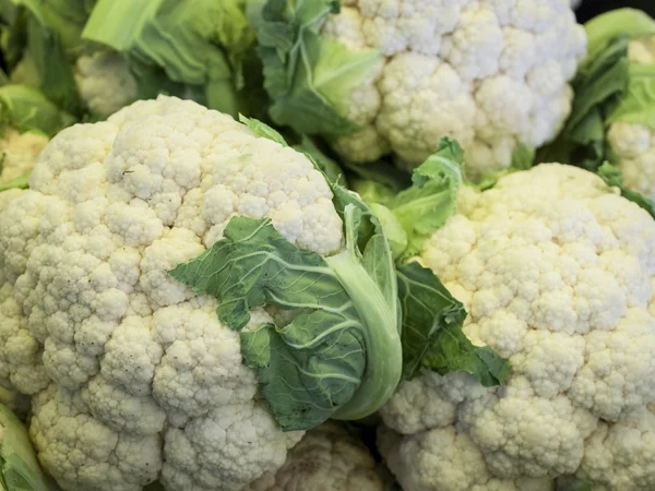 stock image Fresh Vegetables