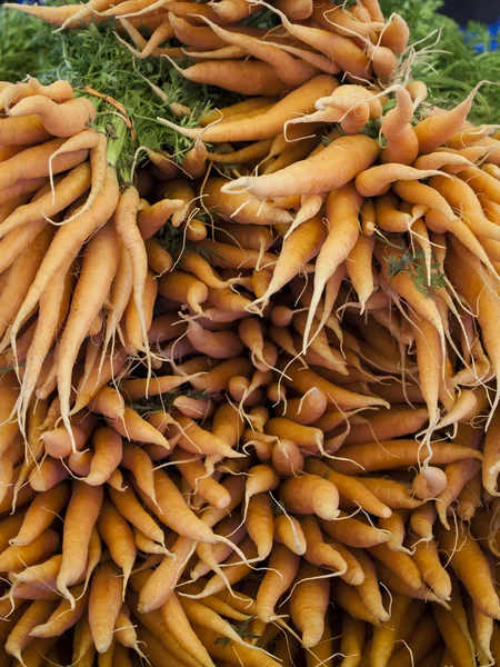 stock image Fresh Vegetables