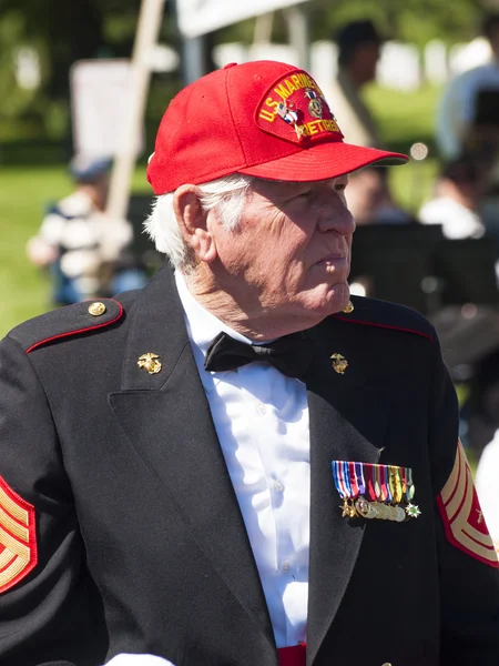 Stock image Memorial Day