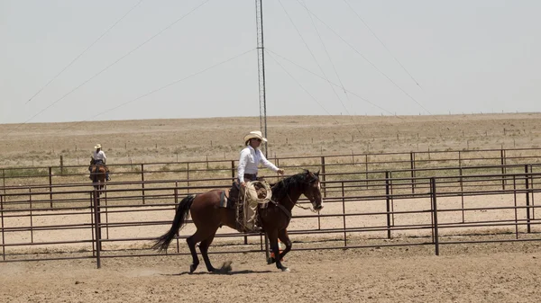 stock image Horse rider