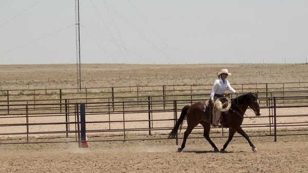 stock image Horse rider