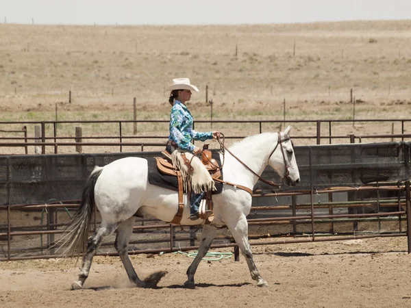 stock image Horse rider