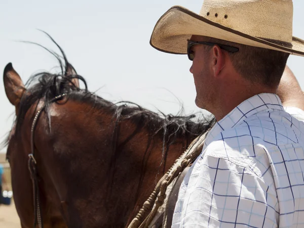 Stock image Horse rider