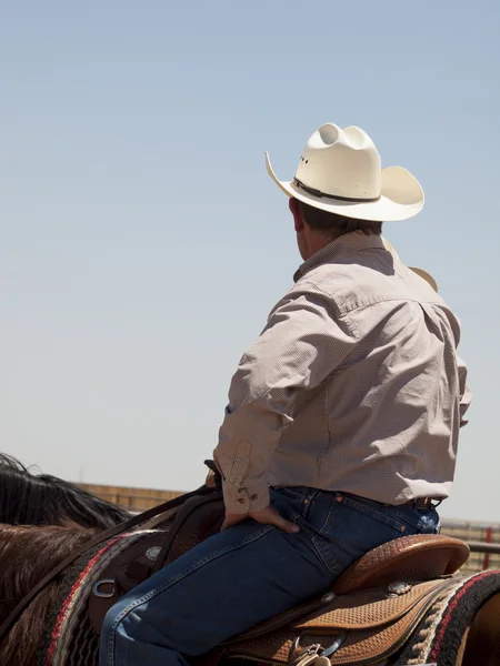 Stock image Horse rider