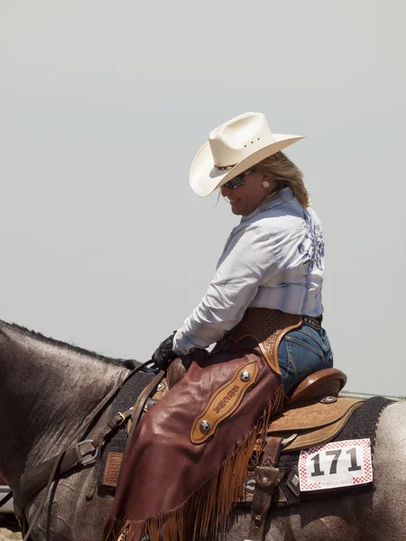 stock image Horse rider