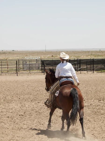 stock image Horse rider