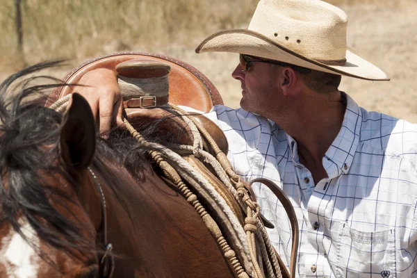 stock image Horse rider