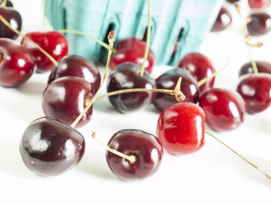 Sweet cherries clipart