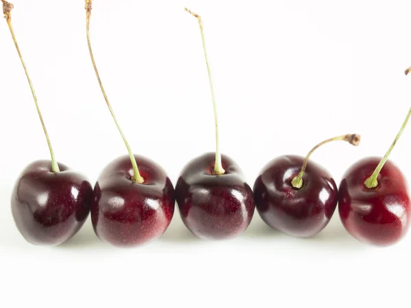 stock image Sweet cherries