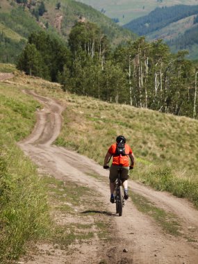 Mountain Biker