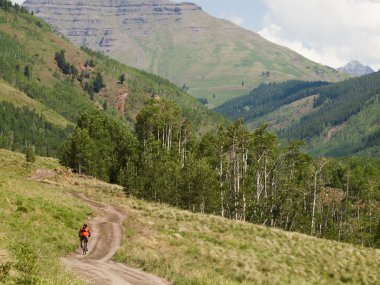 Mountain Biker