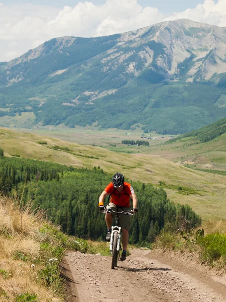 Mountain Biker — Stockfoto