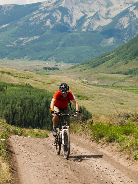 Ciclista de montaña —  Fotos de Stock