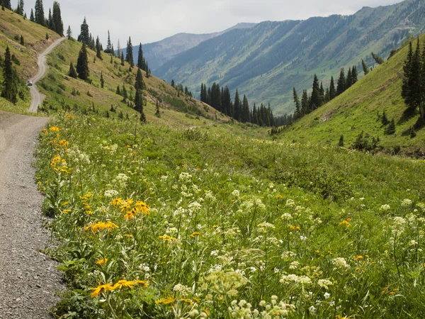 stock image Mountain Path