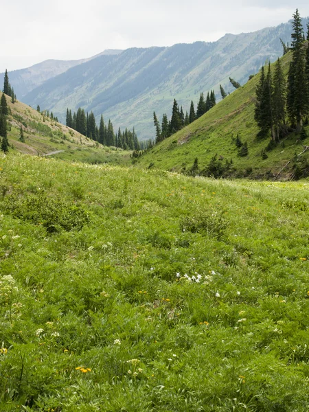 stock image Mountains