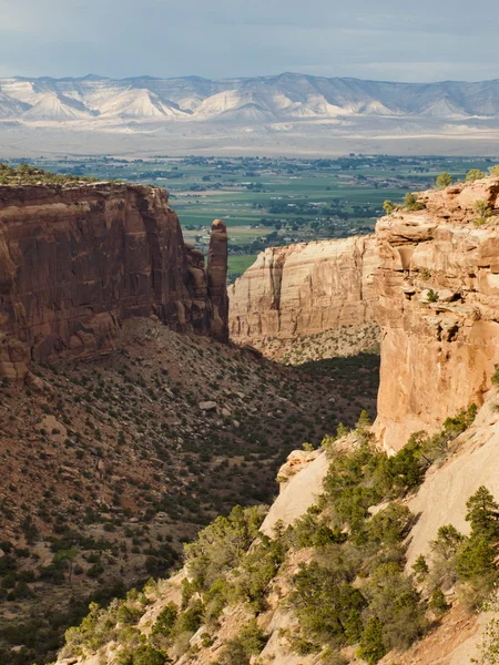 Colorado National Monument — Stock Photo, Image