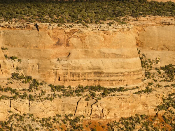 stock image Colorado National Monument