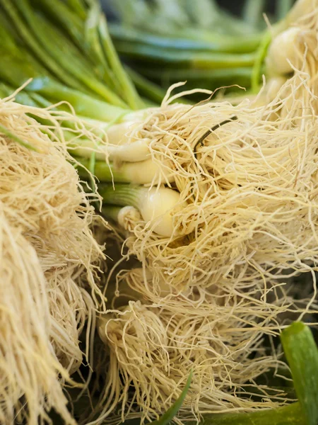 stock image Fresh Vegetables