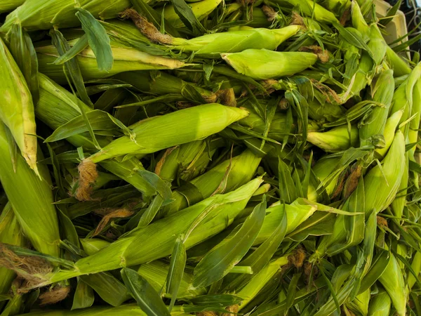 stock image Fresh Vegetables