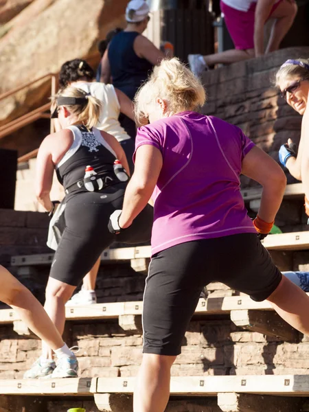 stock image Fitness