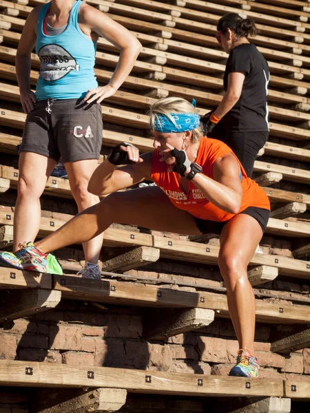 stock image Fitness