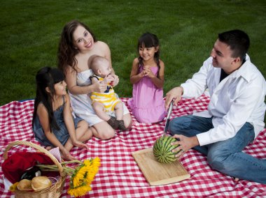 Piknik