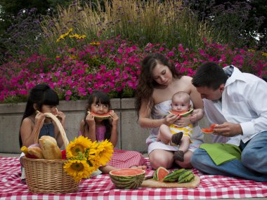 Piknik