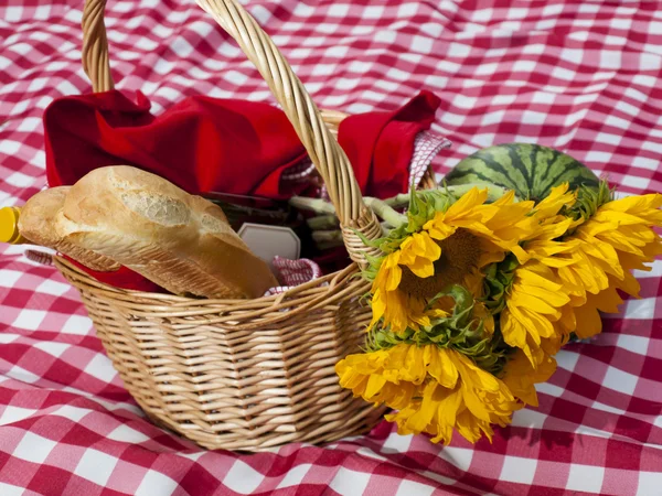 stock image Picnic