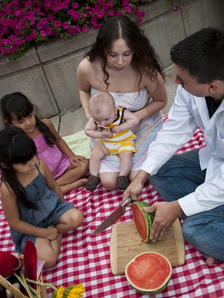 stock image Picnic