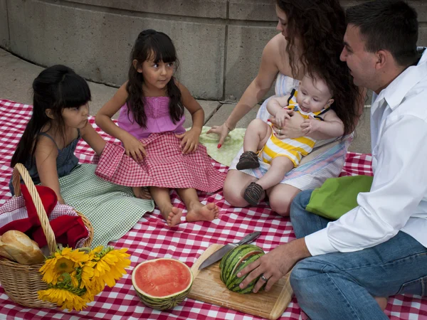 stock image Picnic