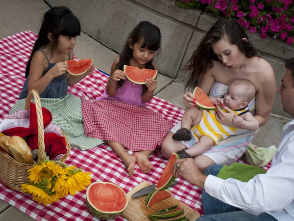 stock image Picnic