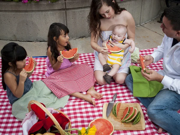 stock image Picnic