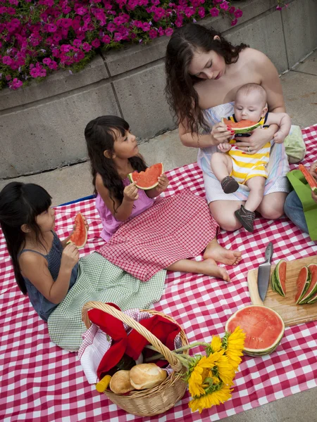 stock image Picnic