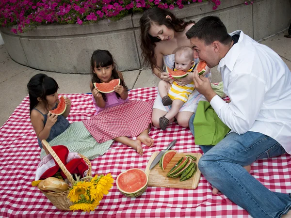 stock image Picnic