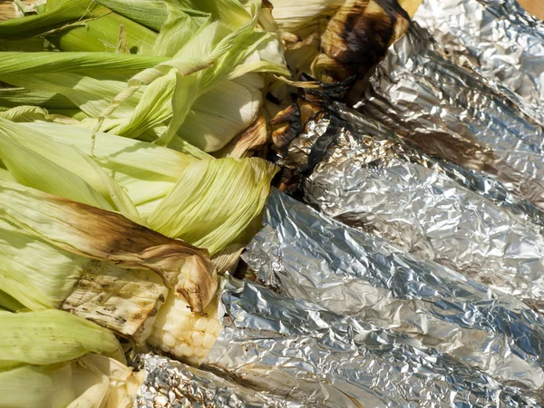 stock image Corn