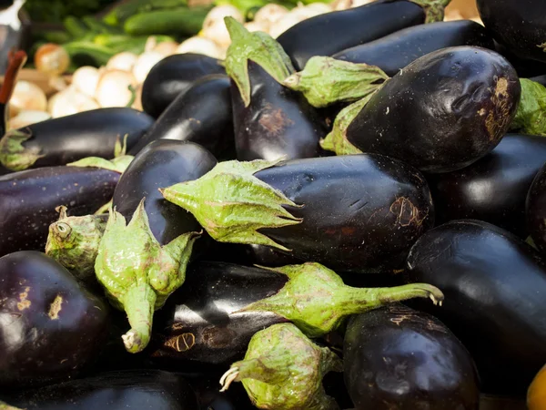 Stock image Eggplant