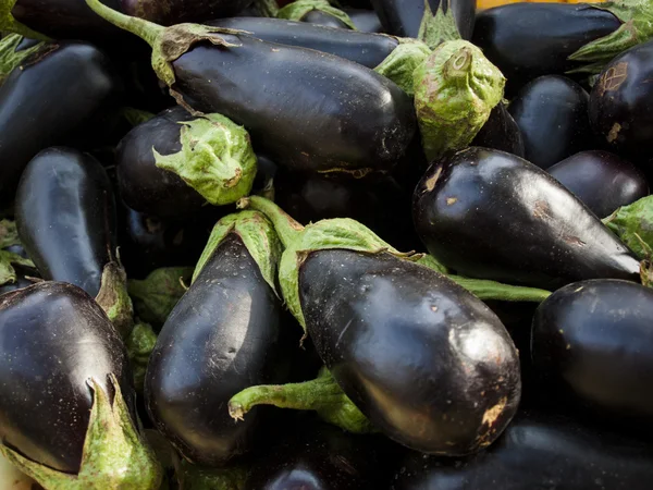 stock image Eggplant