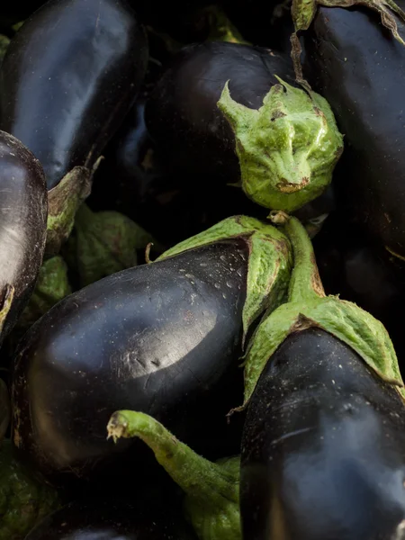 stock image Eggplant