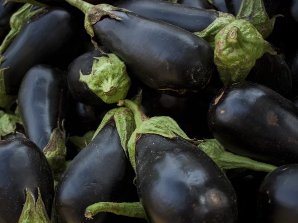 stock image Eggplant