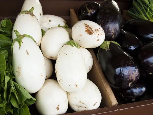 stock image Eggplant