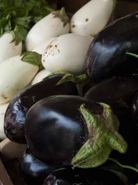 stock image Eggplant