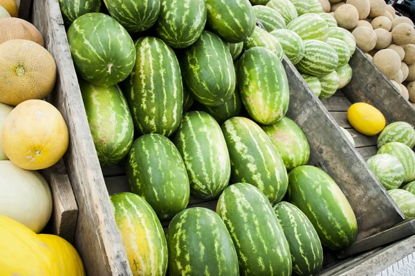 Watermelon — Stock Photo, Image